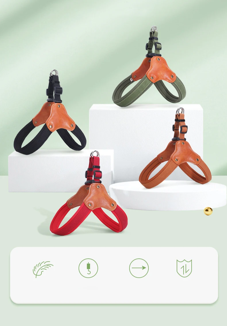 PawCommand Premium Outdoor Zestaw