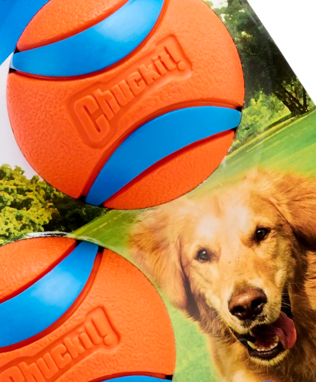 Chuckit UltraBounce Piłka do Zabawy – Mała Piłeczka Skacząca dla Psów