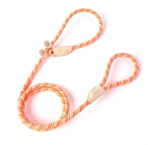 Handsfree Pętla dla Psa w Kształcie Litery P – Regulowany Nylon