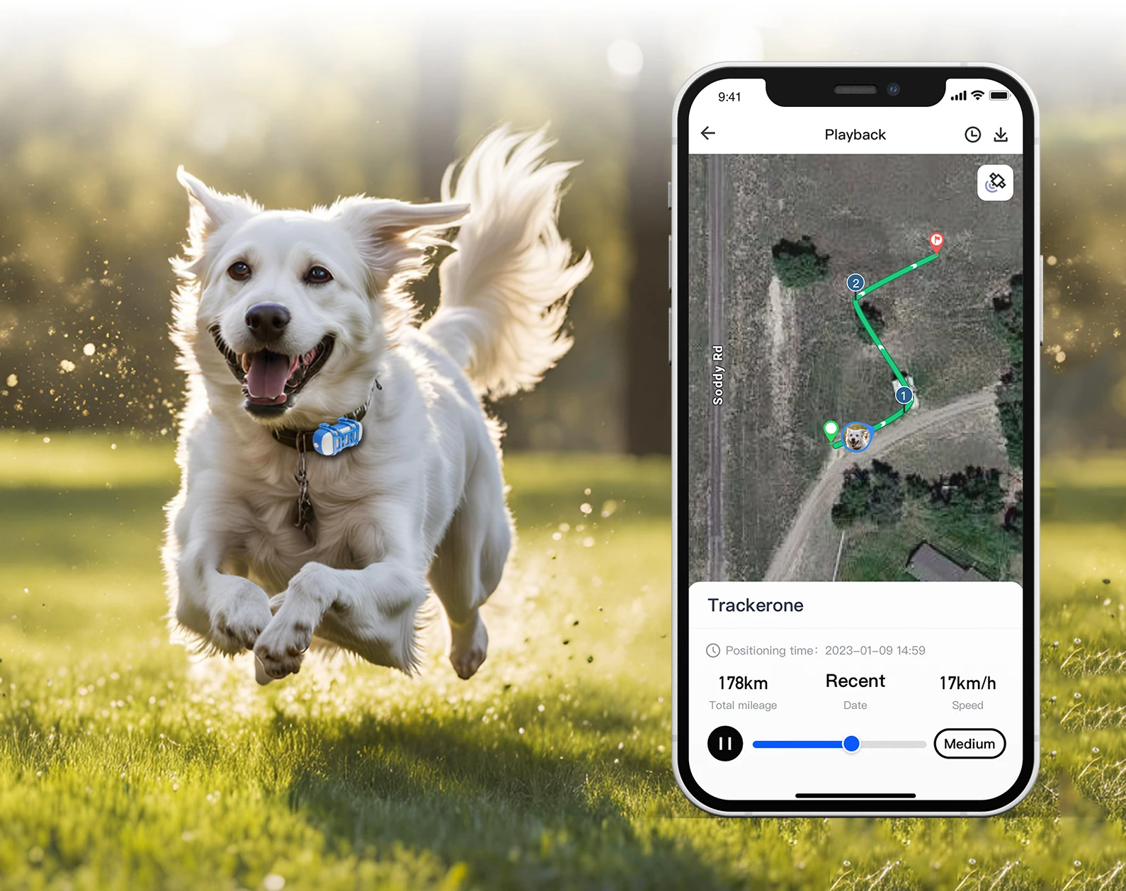 TrackiPet 4G Mini GPS Lokalizator dla Kotów i Psów