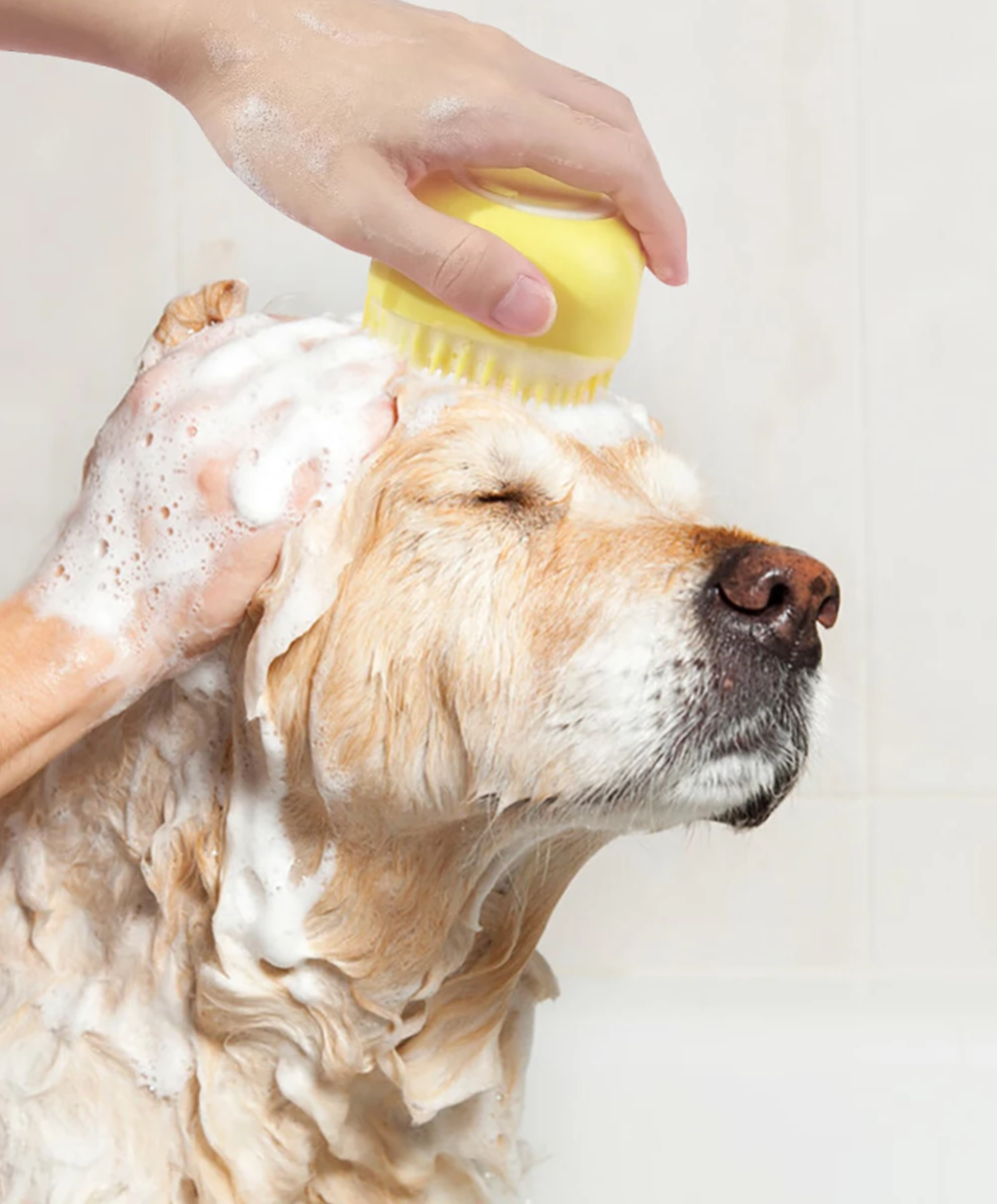 PawSpa 3w1 Szczotka do Mycia Psów