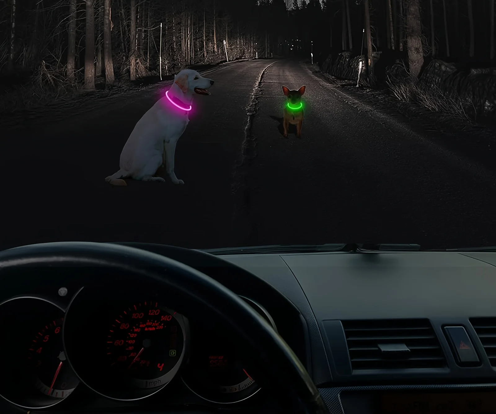 Pas bezpieczeństwa GlowGuard LED dla psów – ładowany przez USB i odblaskowy