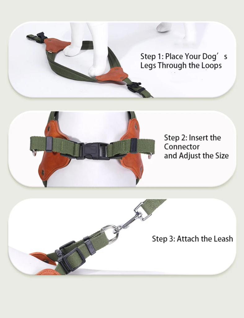 PawCommand Premium Outdoor Zestaw