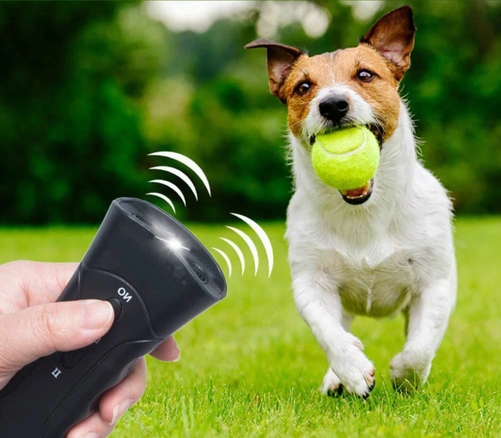 Cichy Strażnik Przeciwszczekowy & Aparat do Szkolenia Psów