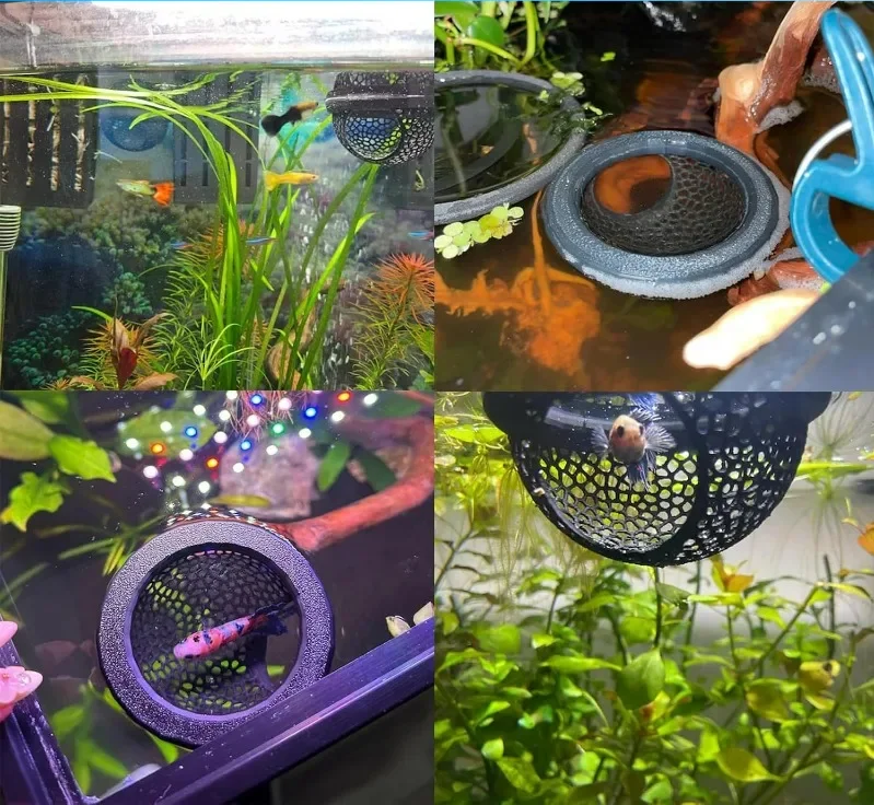 AquaHaven 3-in-1 Pływająca Kryjówka z Pierścieniem Karmiącym i Platformą Odpoczynku dla Bojowników i Małych Zwierząt Wodnych