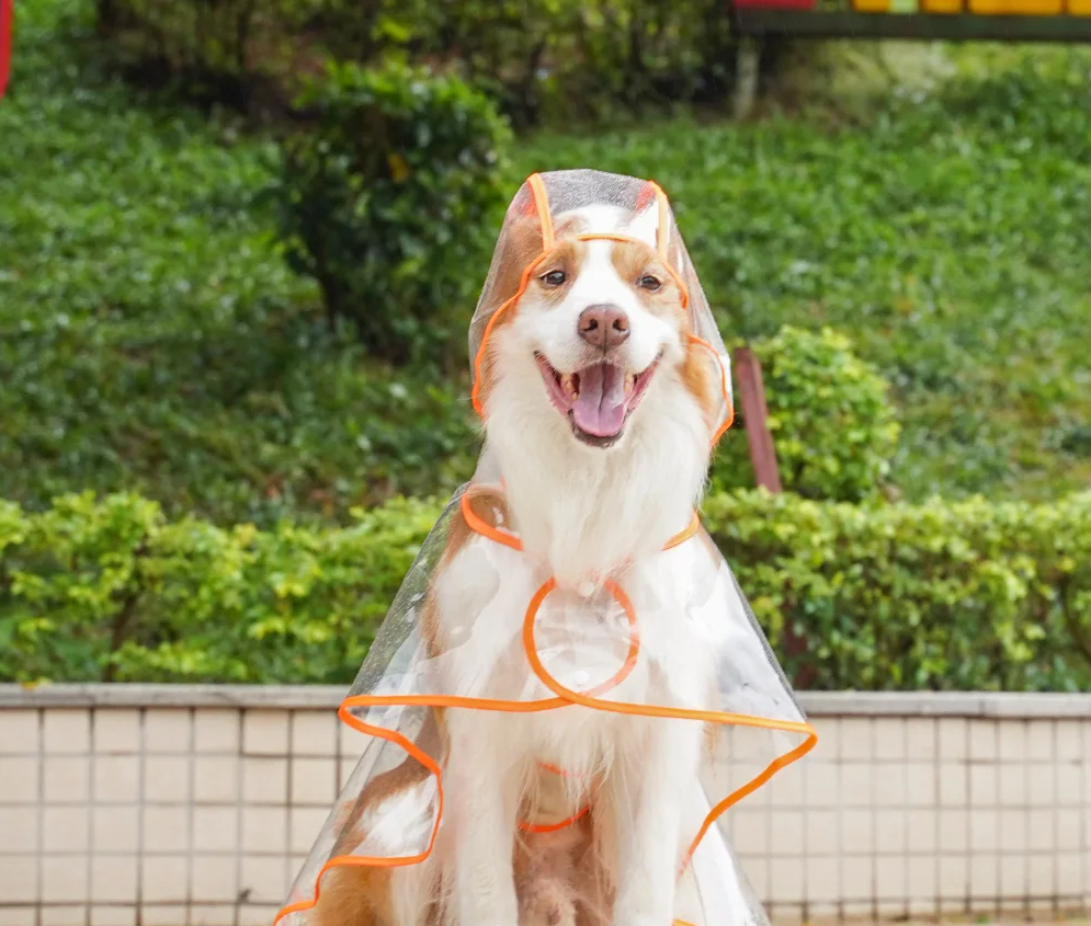ClearPaw Przezroczysty Płaszcz przeciwdeszczowy dla Psów