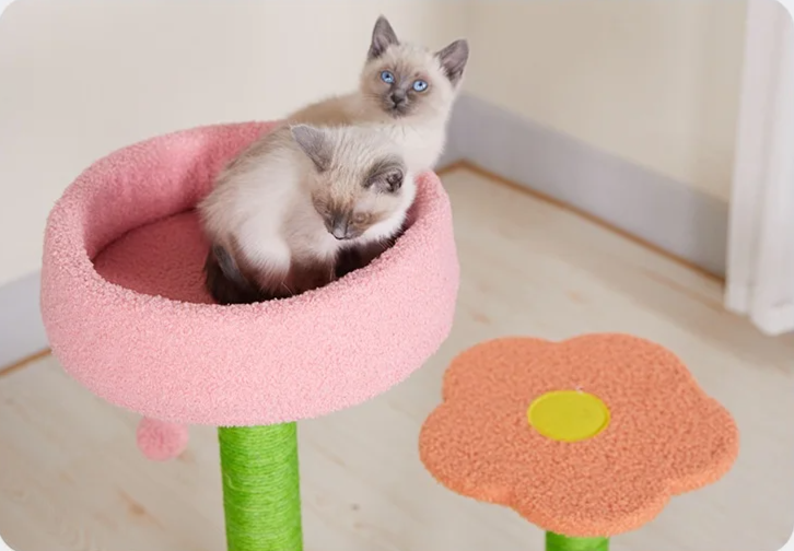 KlimPaws BloomNest Krabpaal z Platformem Wiosennym i Kwiatowym Gniazdkiem dla Kota