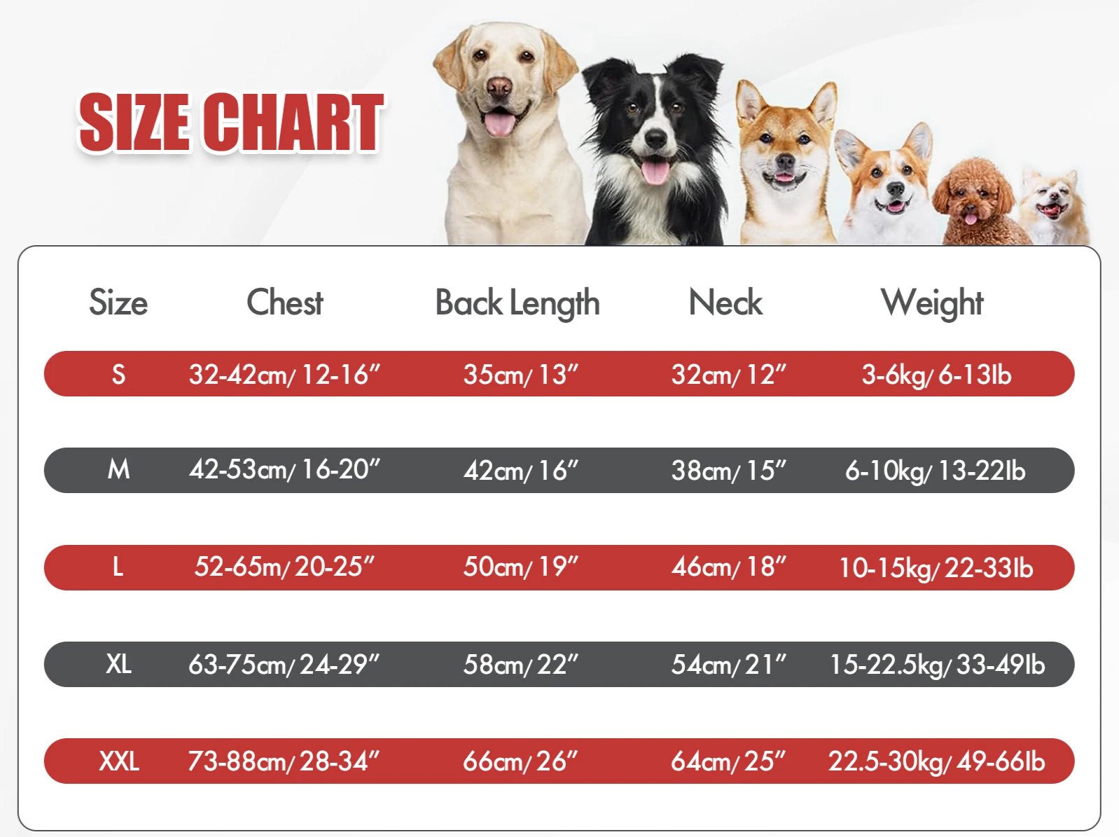 RoyalPaws Elegancki Smoking dla Psów – Strój Ślubny z Muchą dla Średnich i Dużych Psów
