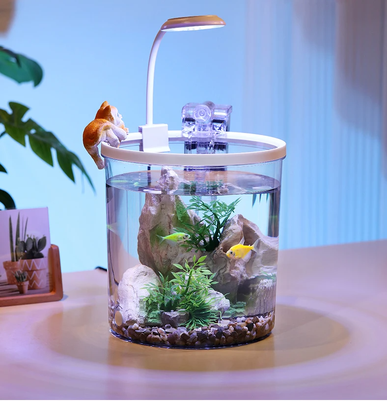 EcoFlow Mała Okrągła Akwarium z Wodą Bogatą w Tlen