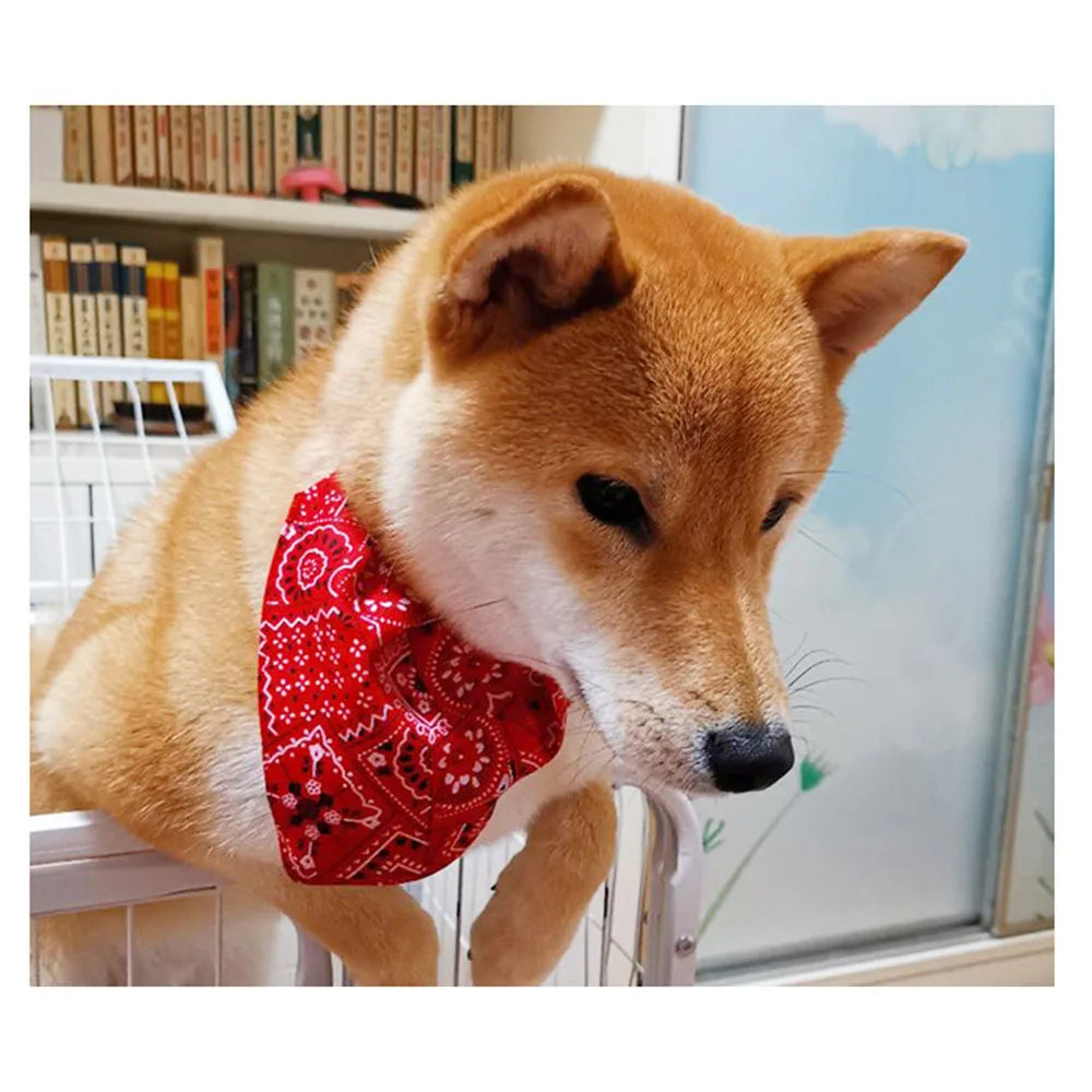 PawStyle Bandana Chustka na Szyję