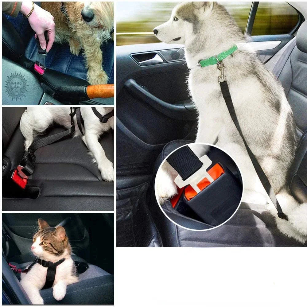 SAFEPAWS – Regulowany Pas Samochodowy dla Zwierząt Domowych | Pas Bezpieczeństwa dla Psa i Kota