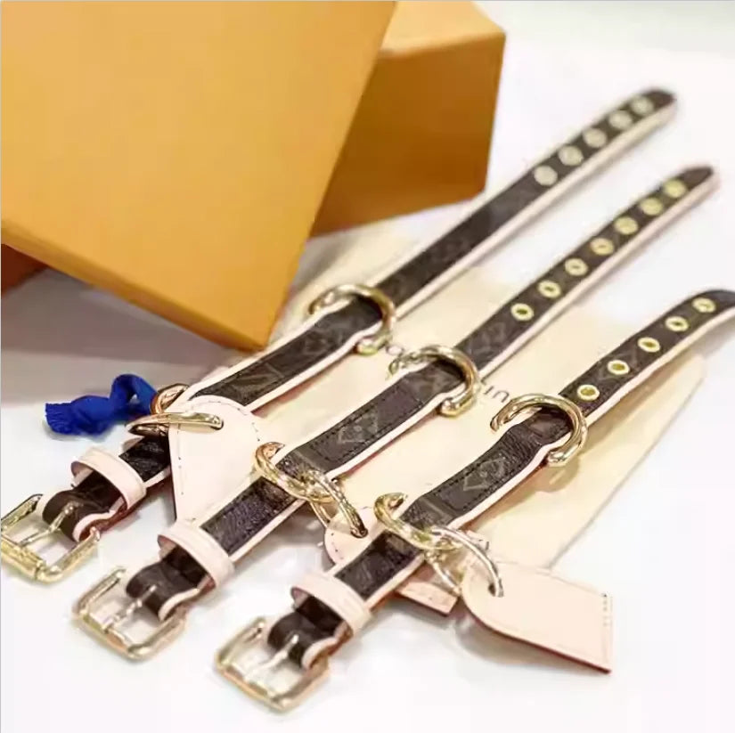 BellaCord Klasyczna Smycz i Obroża