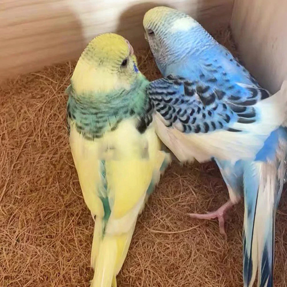 EcoTera Naturalna Mata do Terrarium z Włókna Kokosowego