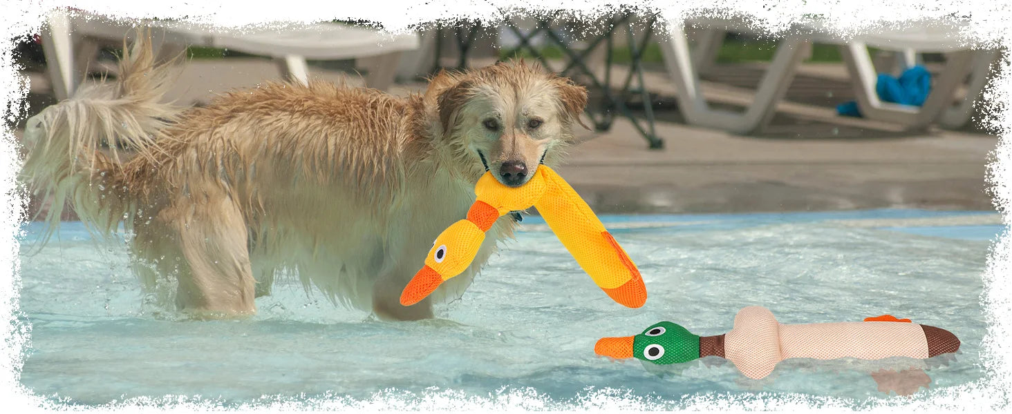 ZiziFloat Pływające Zabawki dla Psów