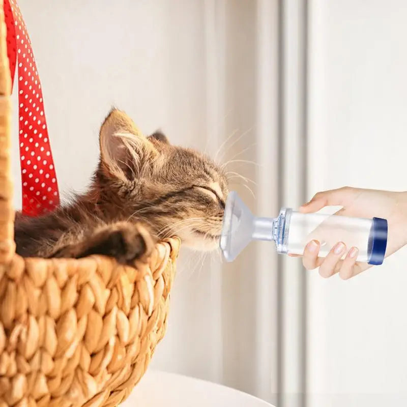 AirPaws Komora Inhalacyjna dla Zwierząt