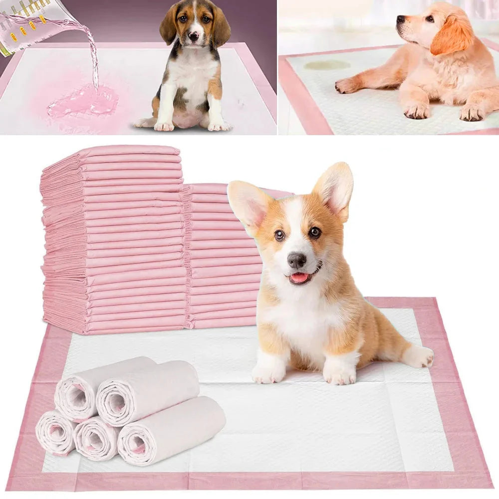 DRYPAWS – 50x Jednorazowe Maty do Moczu dla Psów