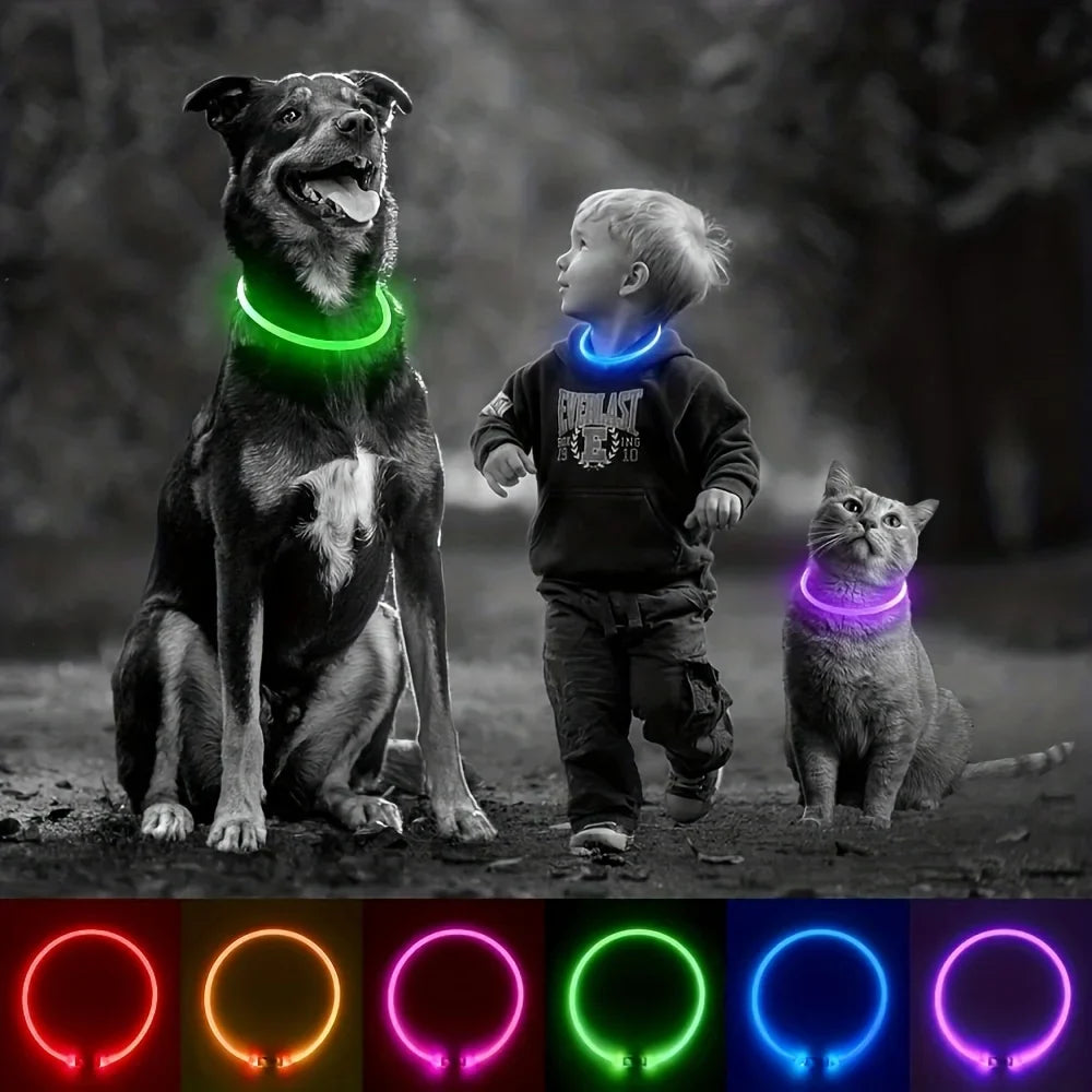Pas bezpieczeństwa GlowGuard LED dla psów – ładowany przez USB i odblaskowy