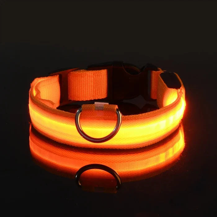 LumiSafe LED Obroża dla Psa