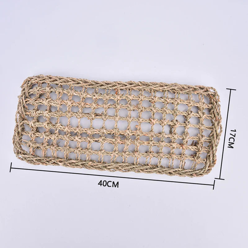 Hagedis Leżak Eye Hammock