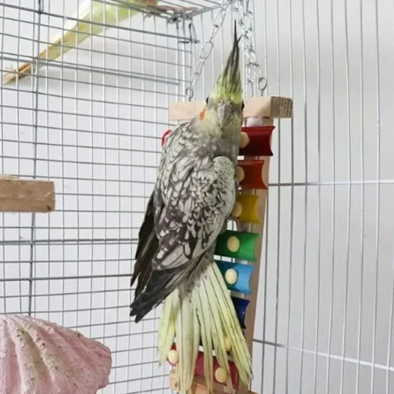 Vogelxylofoon speelgoed hout & metaal – kolorowe zabawki dla kurcząt i papużek