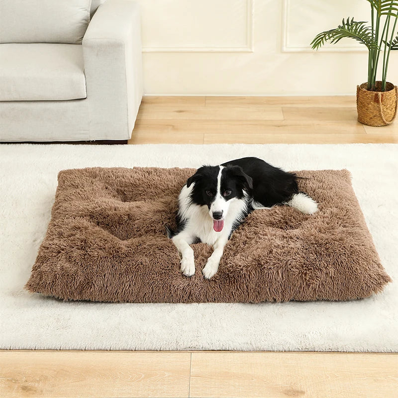 Pluszowa Psia Buda – Miękka Buda dla Psa lub Kota (60–70 cm)