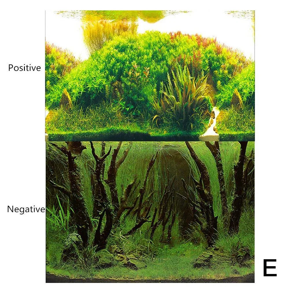 AquaVista 3D Tło do Akwarium