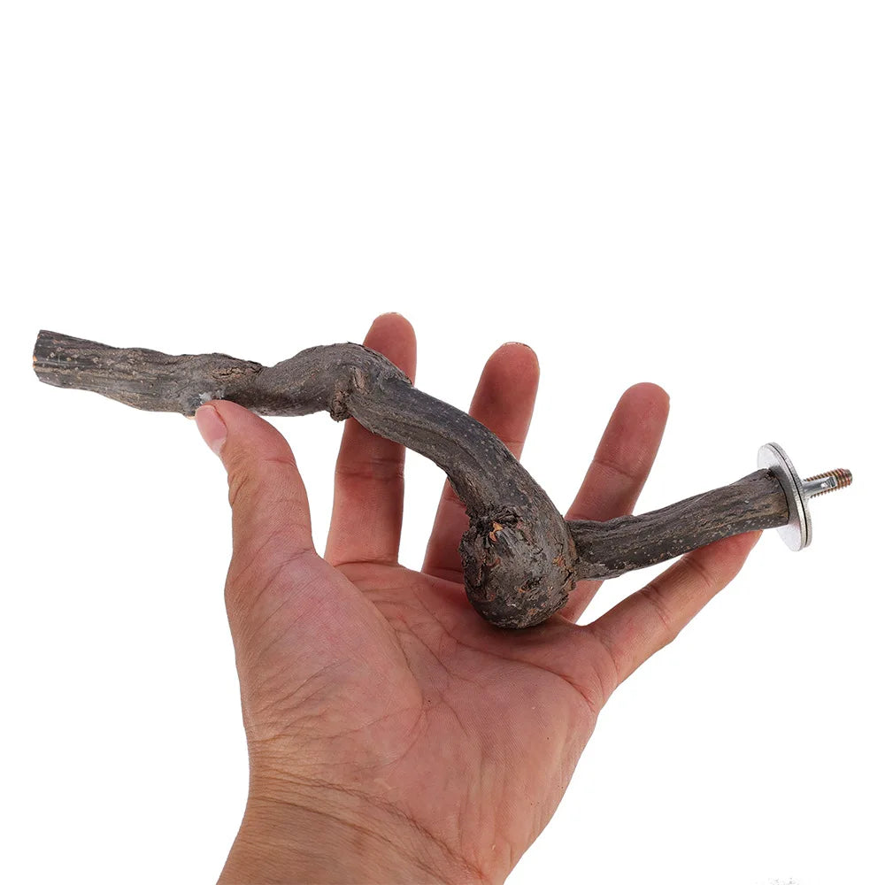 Drewno winogronowe z okonia papugowego – naturalne, do żucia, w 100% bezpieczne