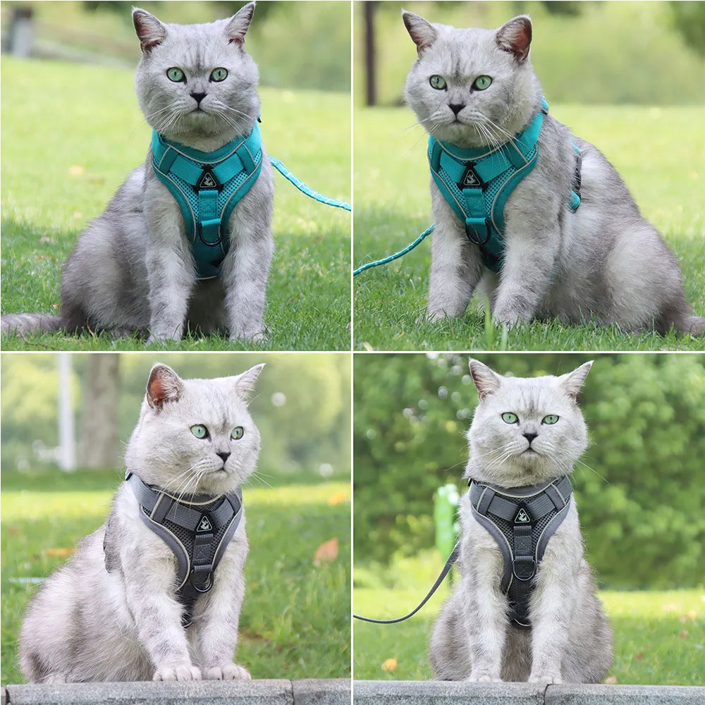 PawSecure Harnas & Lina Zestaw