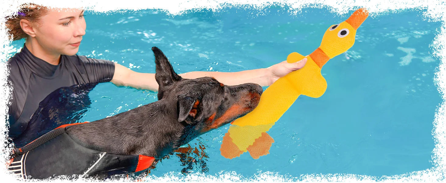 ZiziFloat Pływające Zabawki dla Psów