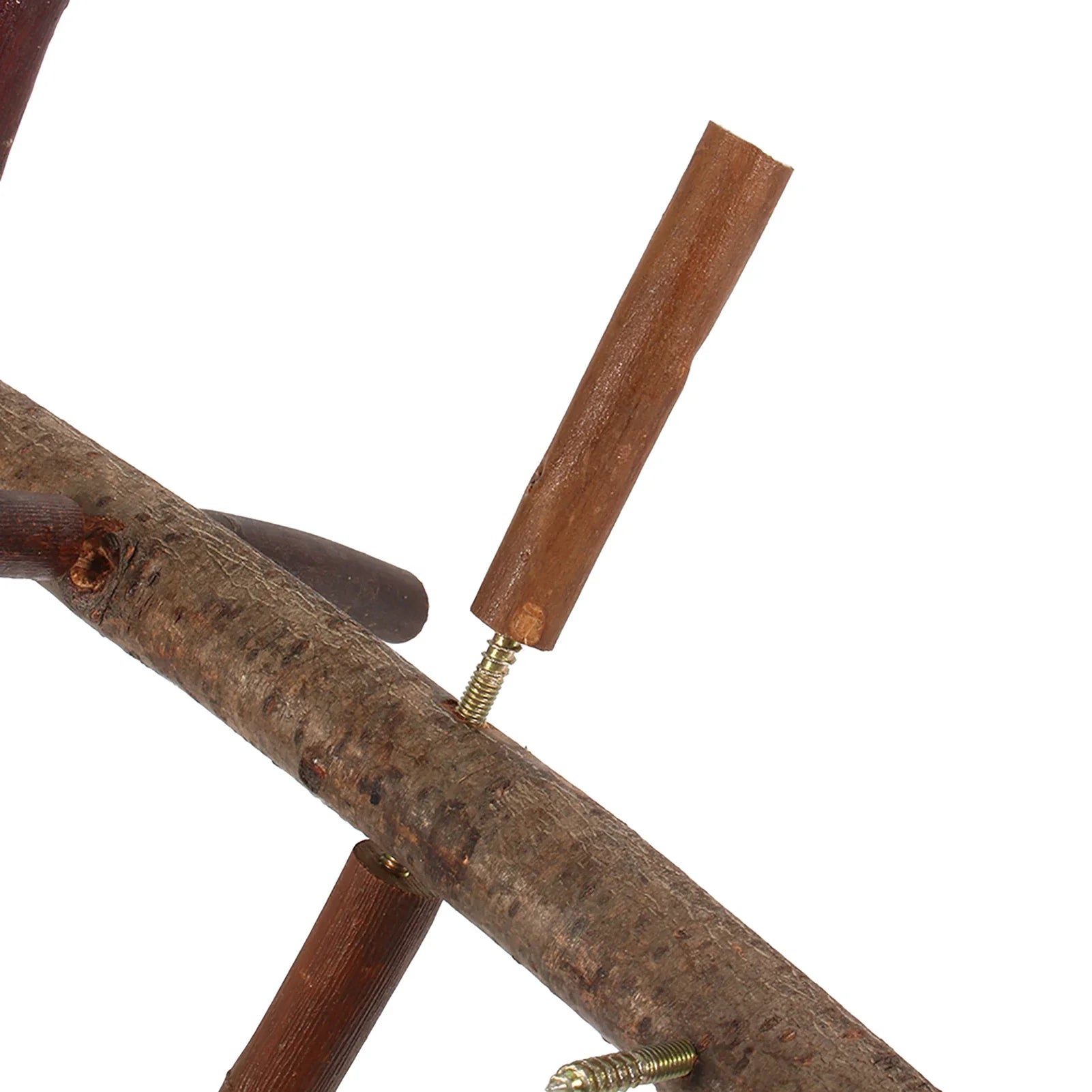 Papegaaienzitstok hout – naturalne ptasie siedzisko z gałęziami