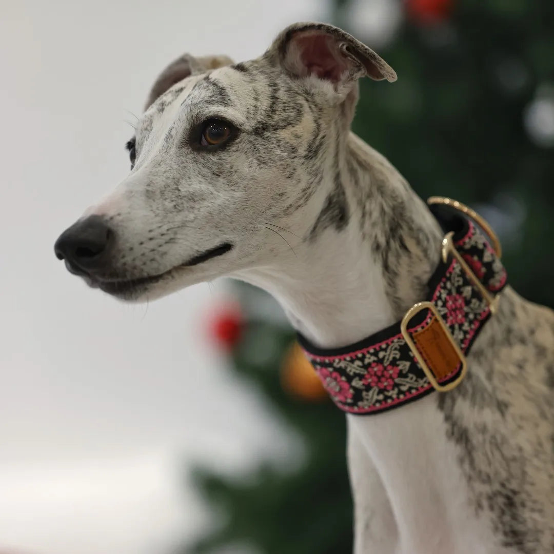 SwiftGent Martingale Obroża