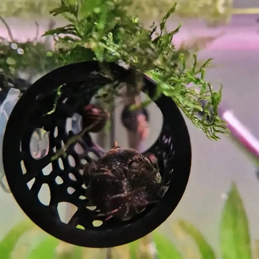 AquaHaven Czarna Rurka Kryjówka do Akwarium z Przyssawką