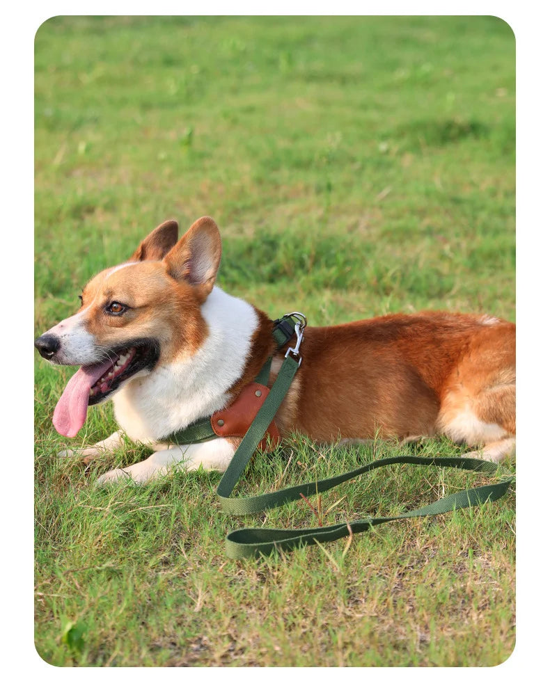 PawCommand Premium Outdoor Zestaw