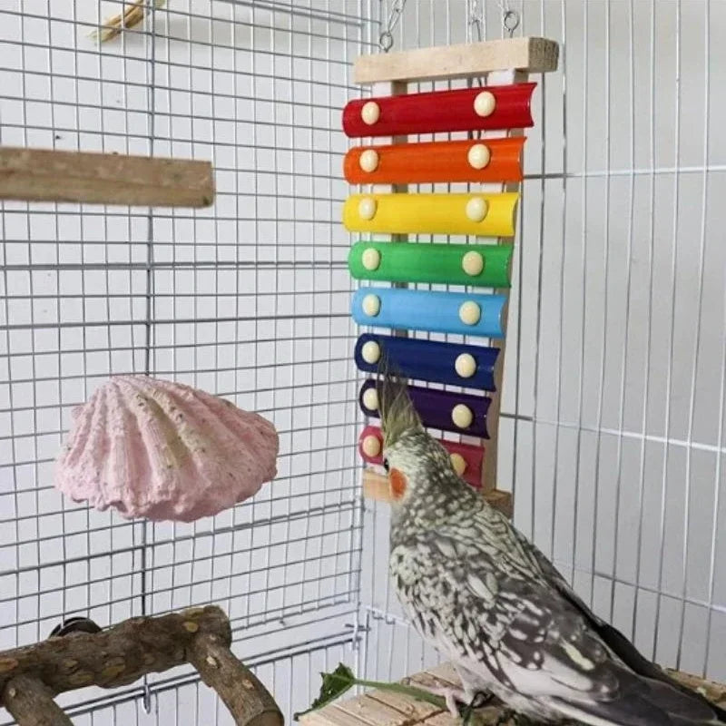 Vogelxylofoon speelgoed hout & metaal – kolorowe zabawki dla kurcząt i papużek
