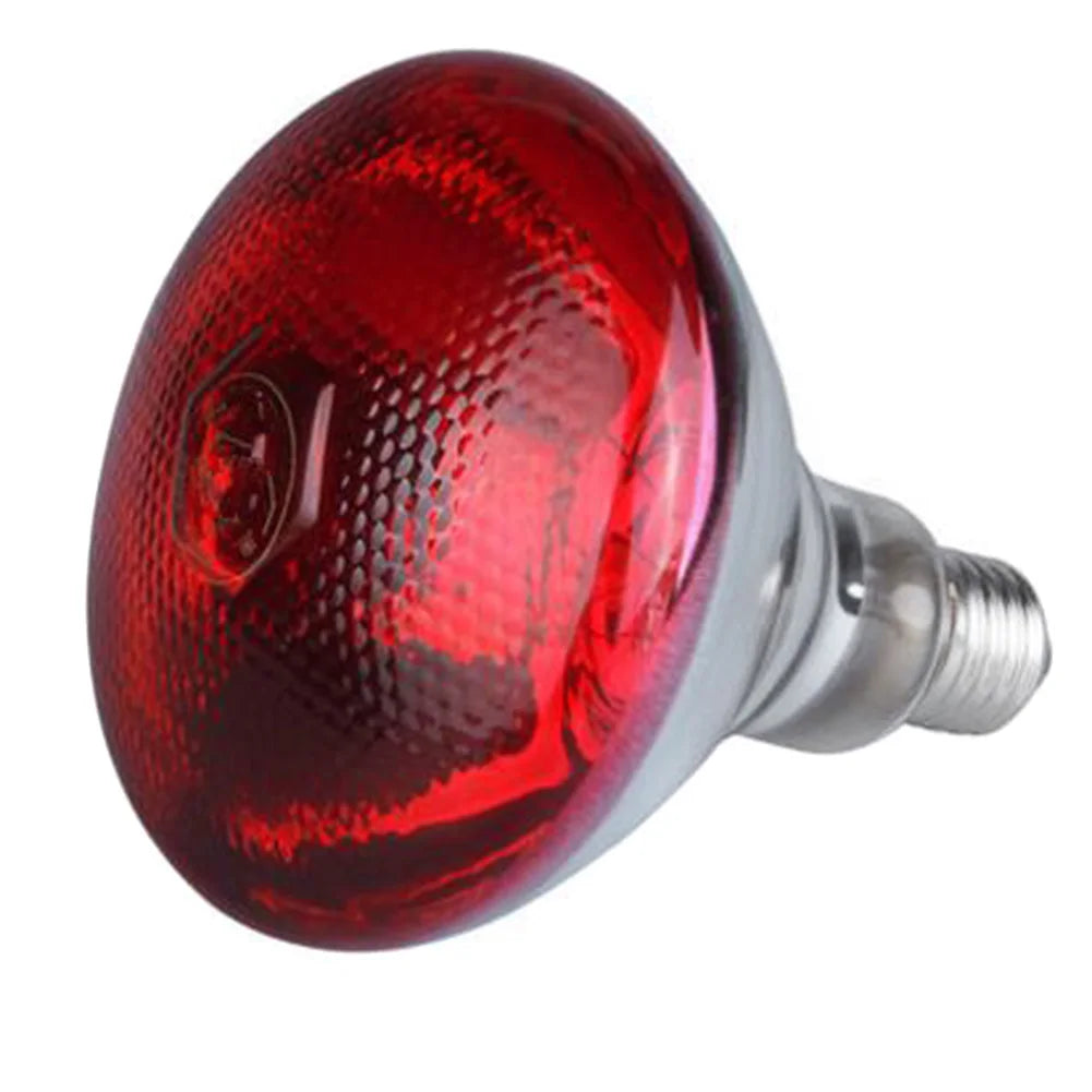 Lampa grzewcza dla gadów