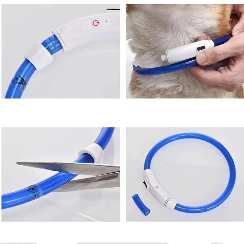 Pas bezpieczeństwa GlowGuard LED dla psów – ładowany przez USB i odblaskowy