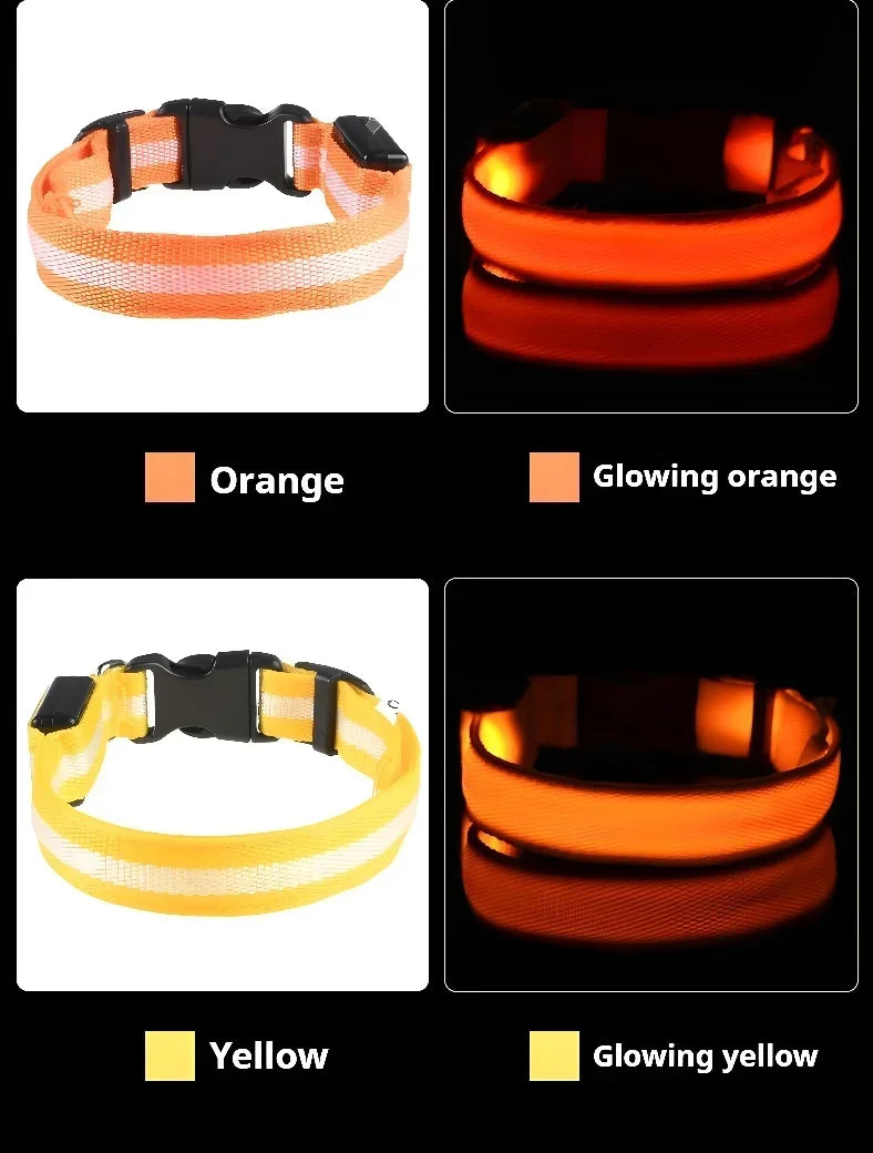 LumiSafe LED Obroża dla Psa