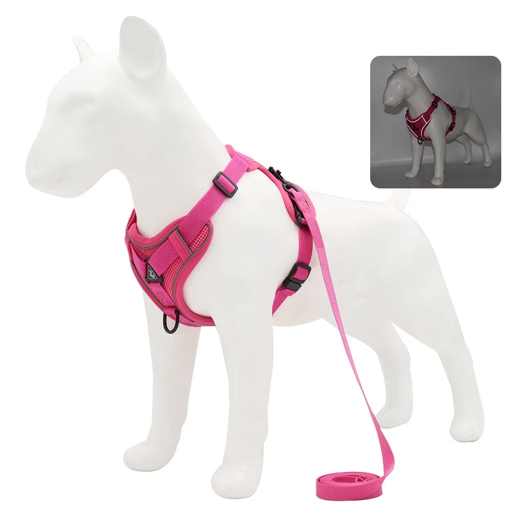 PawSecure Harnas & Lina Zestaw
