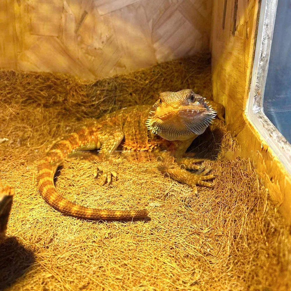 EcoTera Naturalna Mata do Terrarium z Włókna Kokosowego