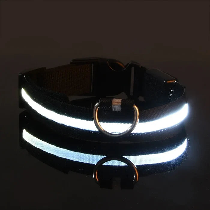 LumiSafe LED Obroża dla Psa