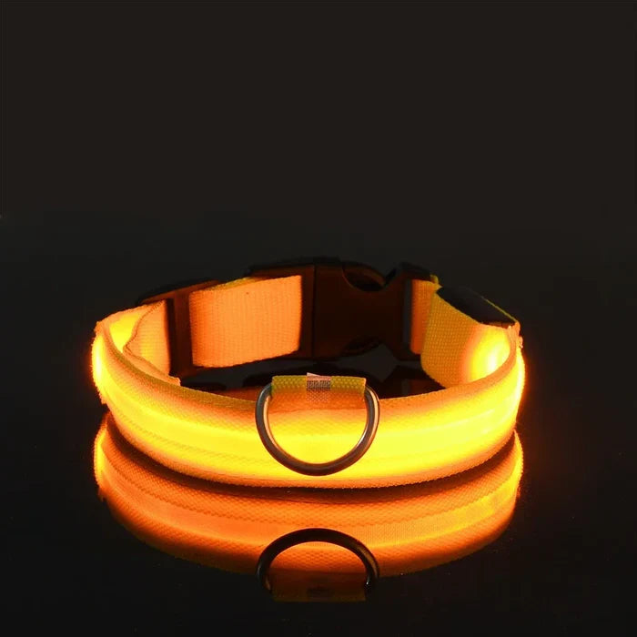 LumiSafe LED Obroża dla Psa