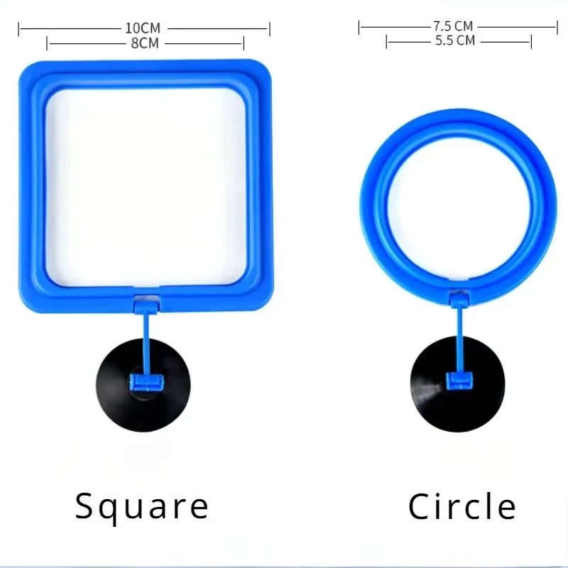 AquaRing Pierścień do Karmienia Ryb