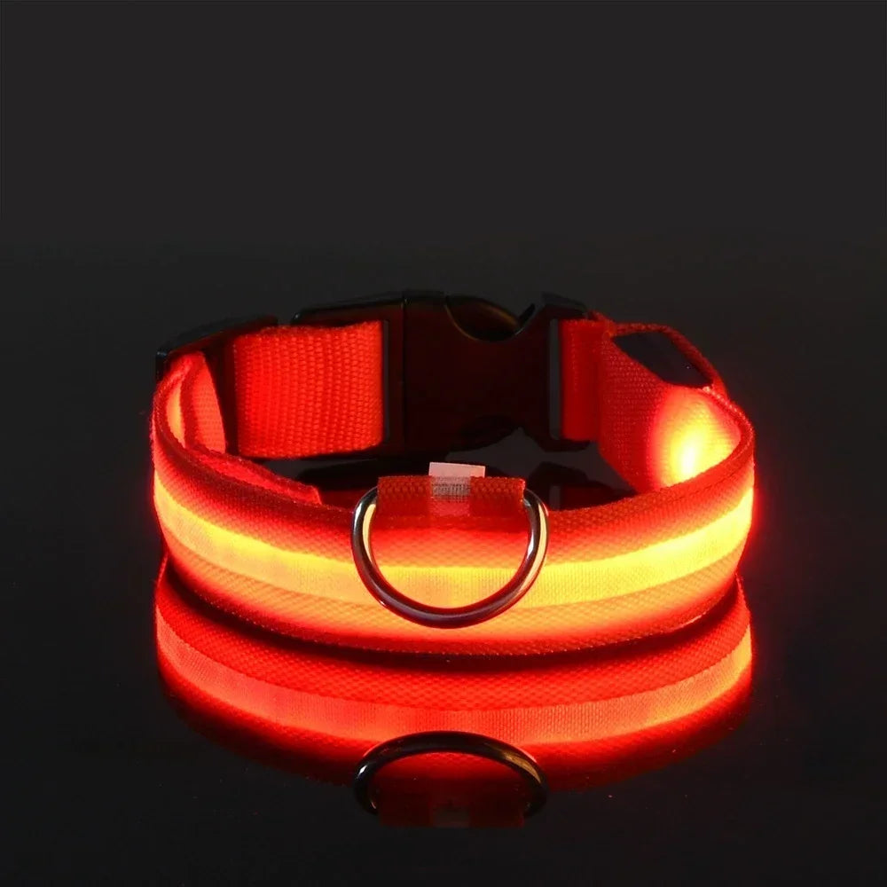 LumiSafe LED Obroża dla Psa