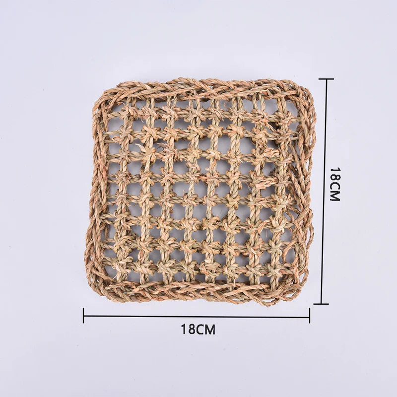 Hagedis Leżak Eye Hammock