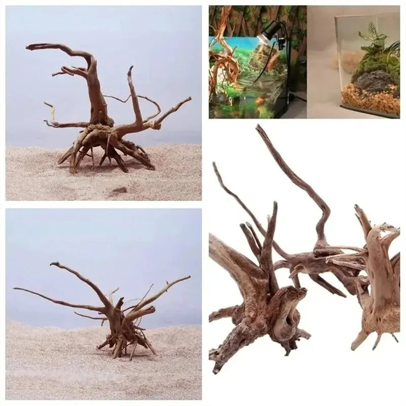 Dekoracja akwarium