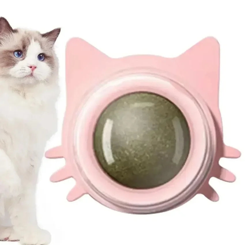 MINTYPLAY Lickbare Kattenkruidenbal – Przekąska, Zabawka & Pielęgnacja Zębów w Jednym!