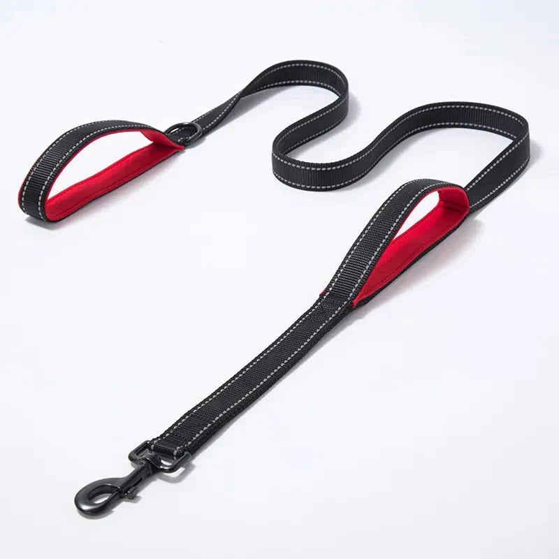 Ciężki Podwójny Obroż dla Psa – Łańcuch i Nylon, 150 - 180cm