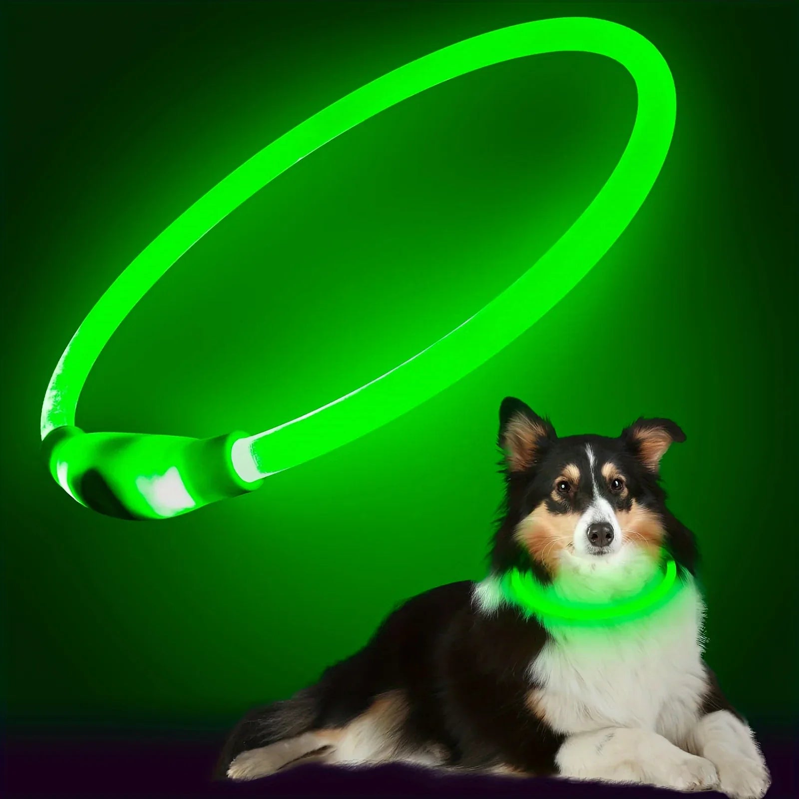 Pas bezpieczeństwa GlowGuard LED dla psów – ładowany przez USB i odblaskowy