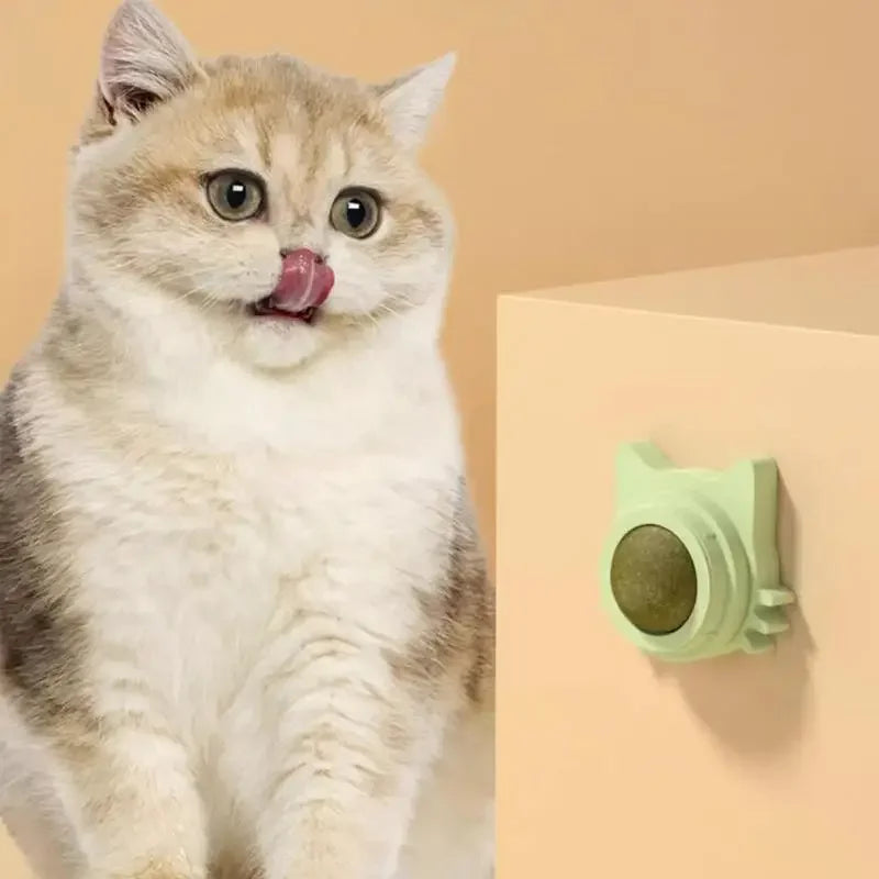 MINTYPLAY Lickbare Kattenkruidenbal – Przekąska, Zabawka & Pielęgnacja Zębów w Jednym!