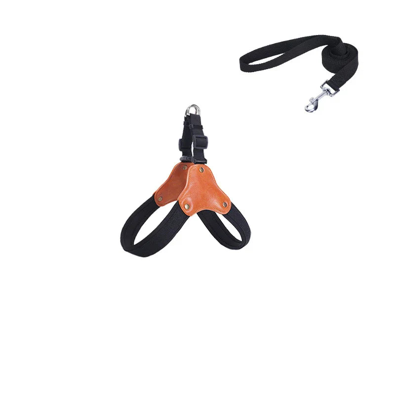 PawCommand Premium Outdoor Zestaw